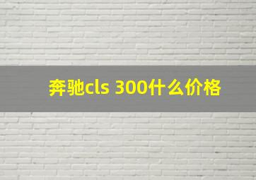 奔驰cls 300什么价格